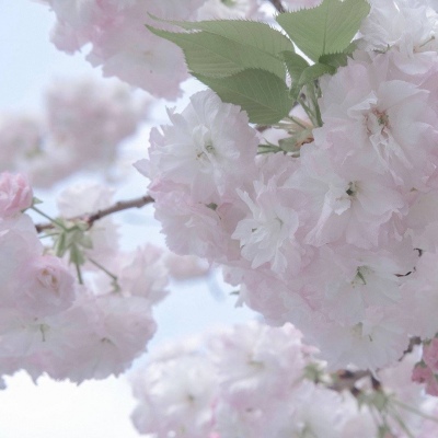 Furry数位绘画技巧FurryQQ群